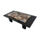 Coffee table with petrified wood top