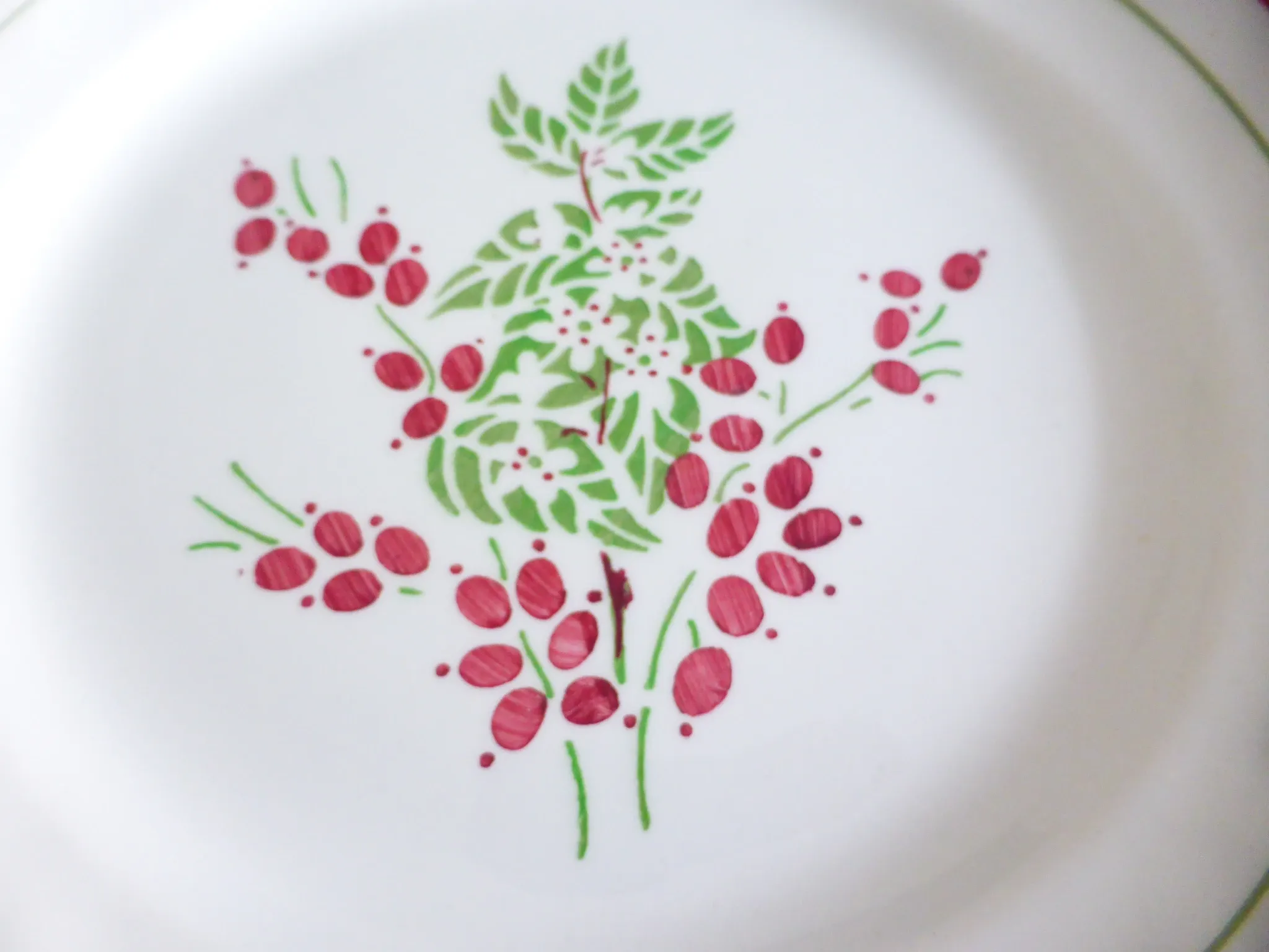 1 assiette plate rouge et verte 221238
