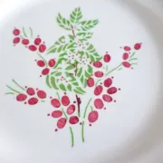 1 assiette plate rouge et verte 221238
