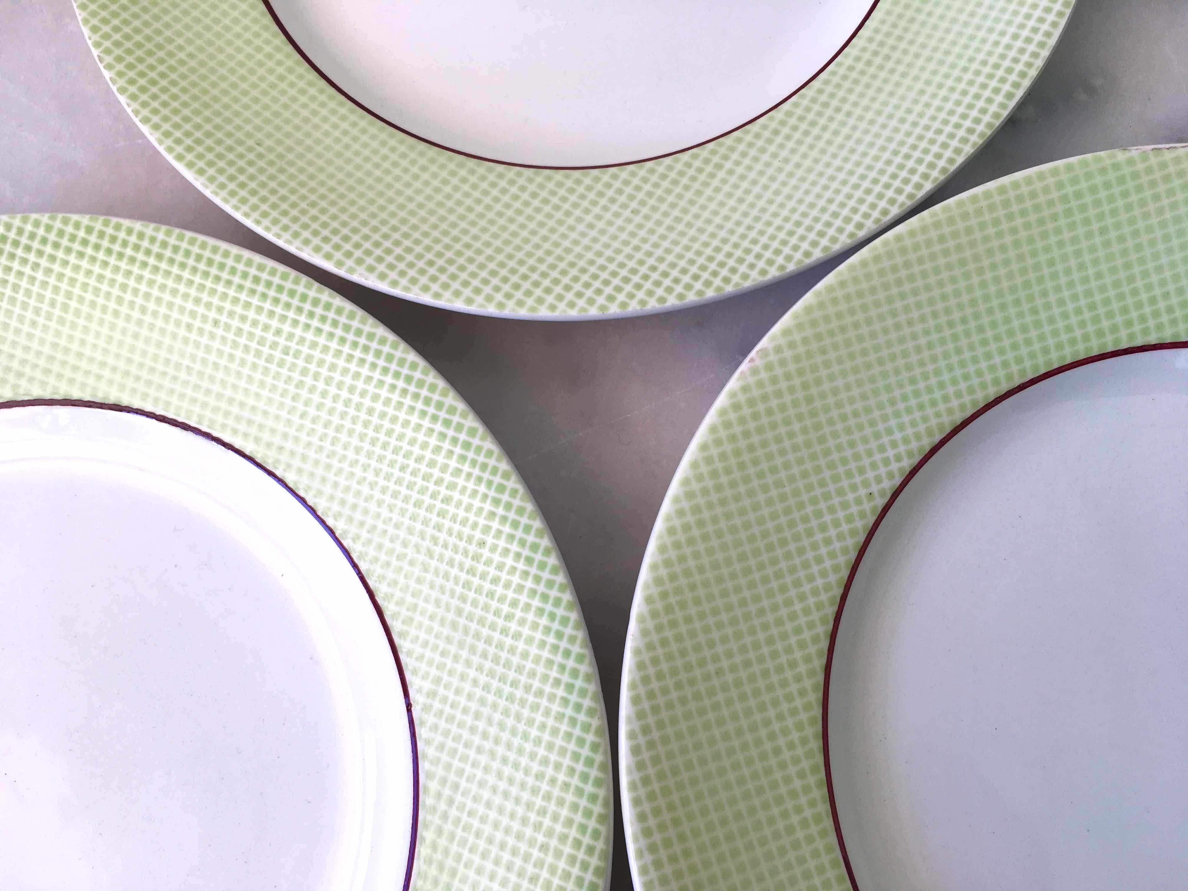 Set 12 flat plates Salins earthenware