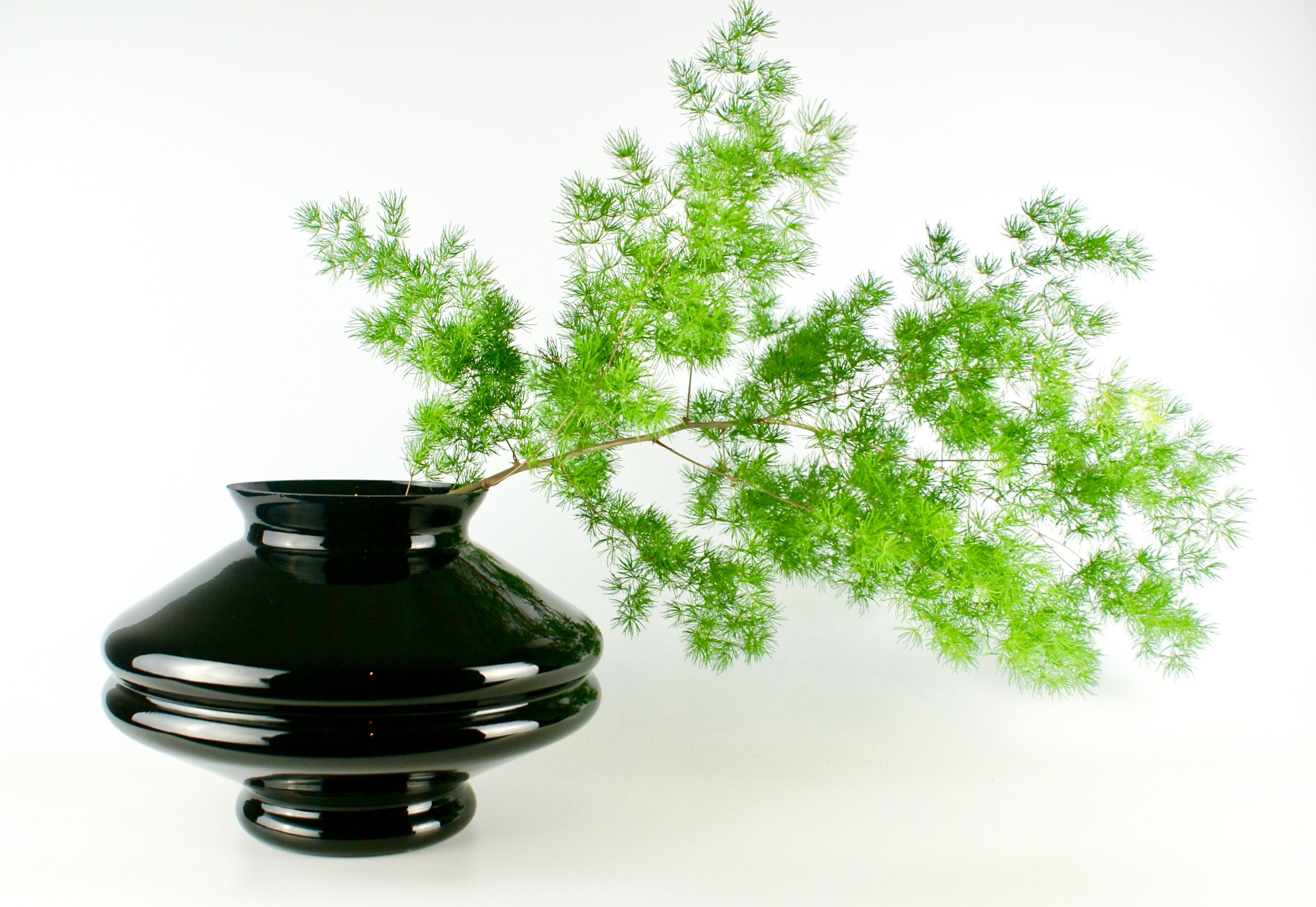Shaped hyalite black glass vase
