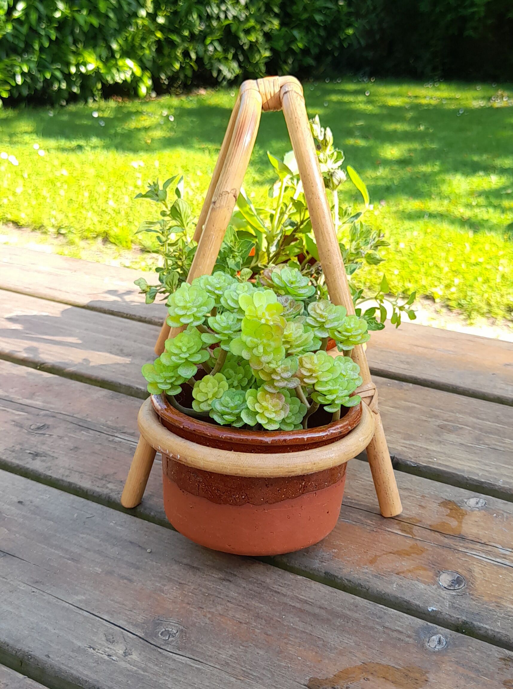 Original, plant door 3 pots sandstone and bamboo, 1970's