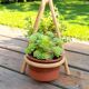 Original, plant door 3 pots sandstone and bamboo, 1970's