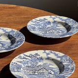 Set of 5 blue English plates D23