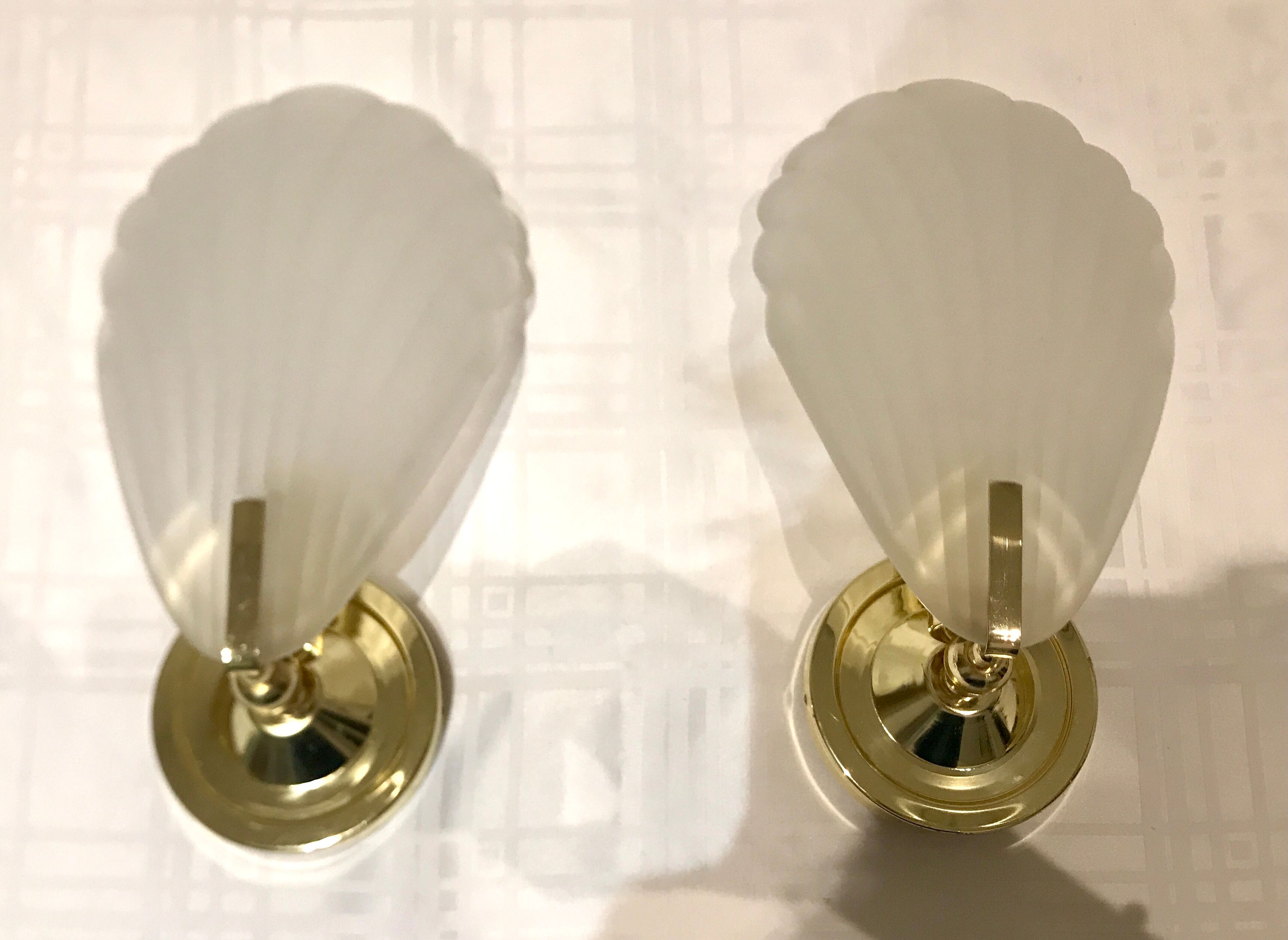 Pair of shell sconces
