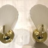 Pair of shell sconces