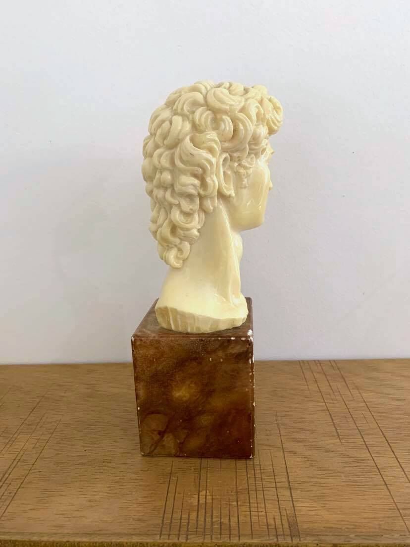 Bust - Head of David