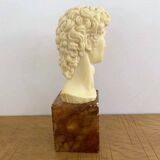 Bust - Head of David