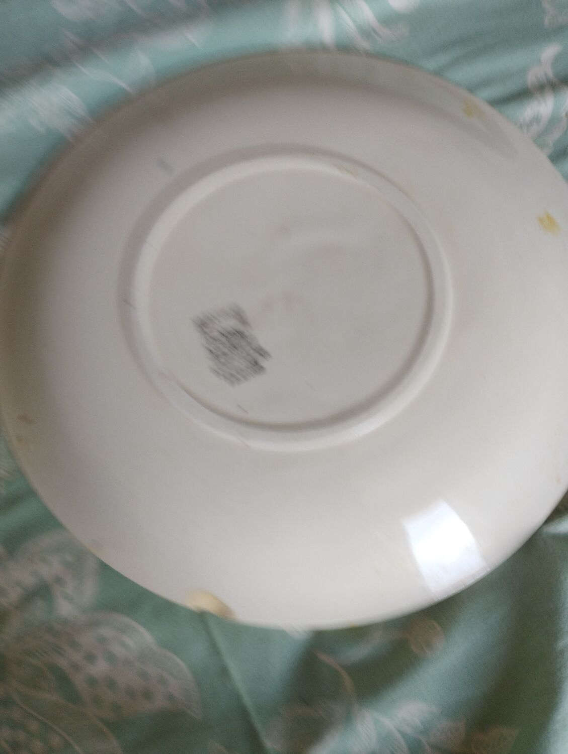 Assiettes Salins hossegor jaue