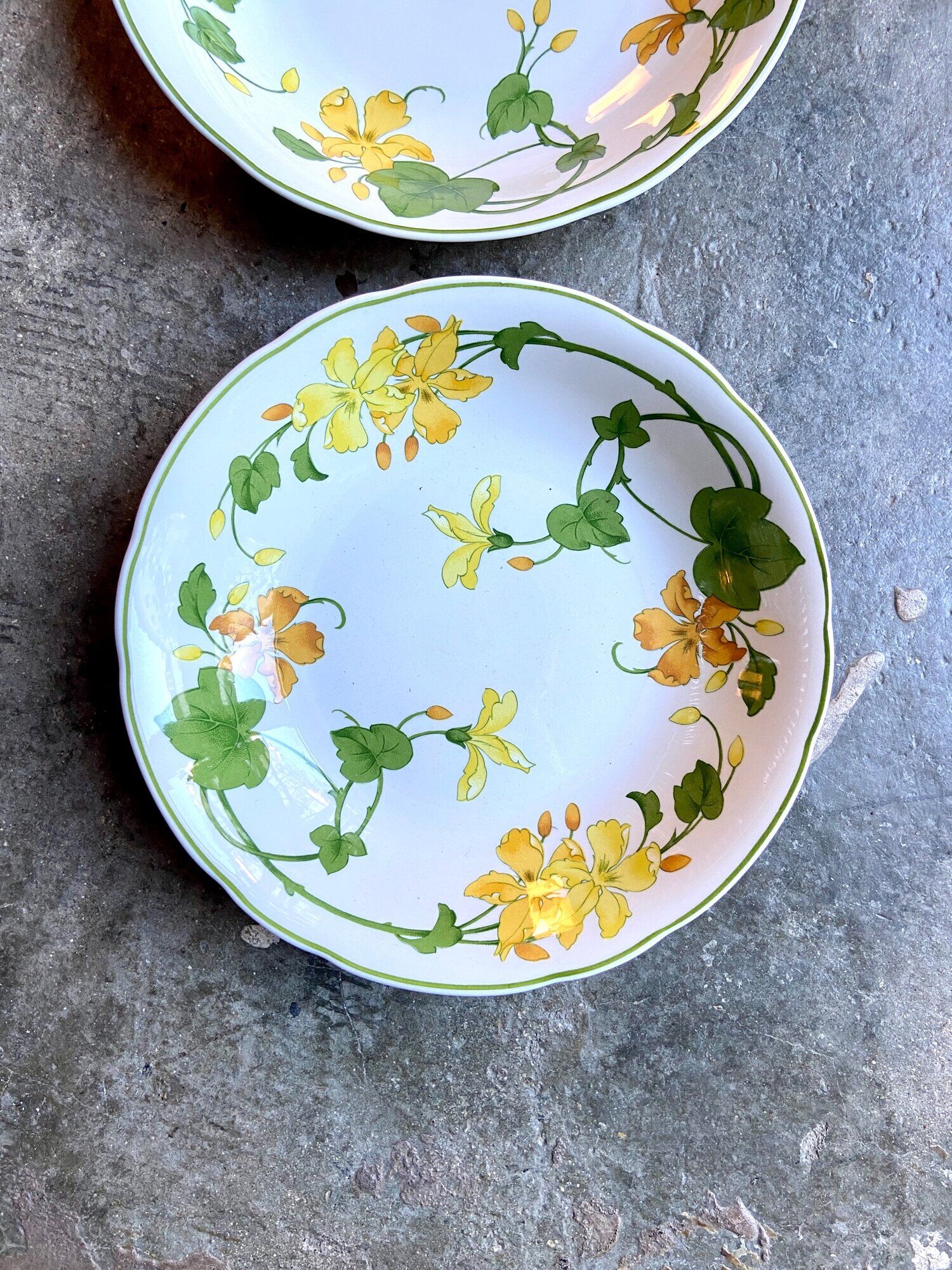 Pair of Villeroy & Boch hollow plates in glazed earthenware model Geranium