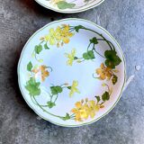Pair of Villeroy & Boch hollow plates in glazed earthenware model Geranium