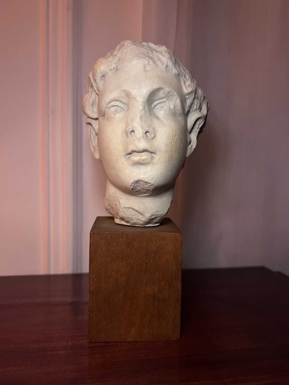 Bust, head of a young man - reproduction from the museum of Sens