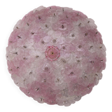 Charming Murano Ceiling Light Pink Flower by Seguso for Venini, Italy, 1970