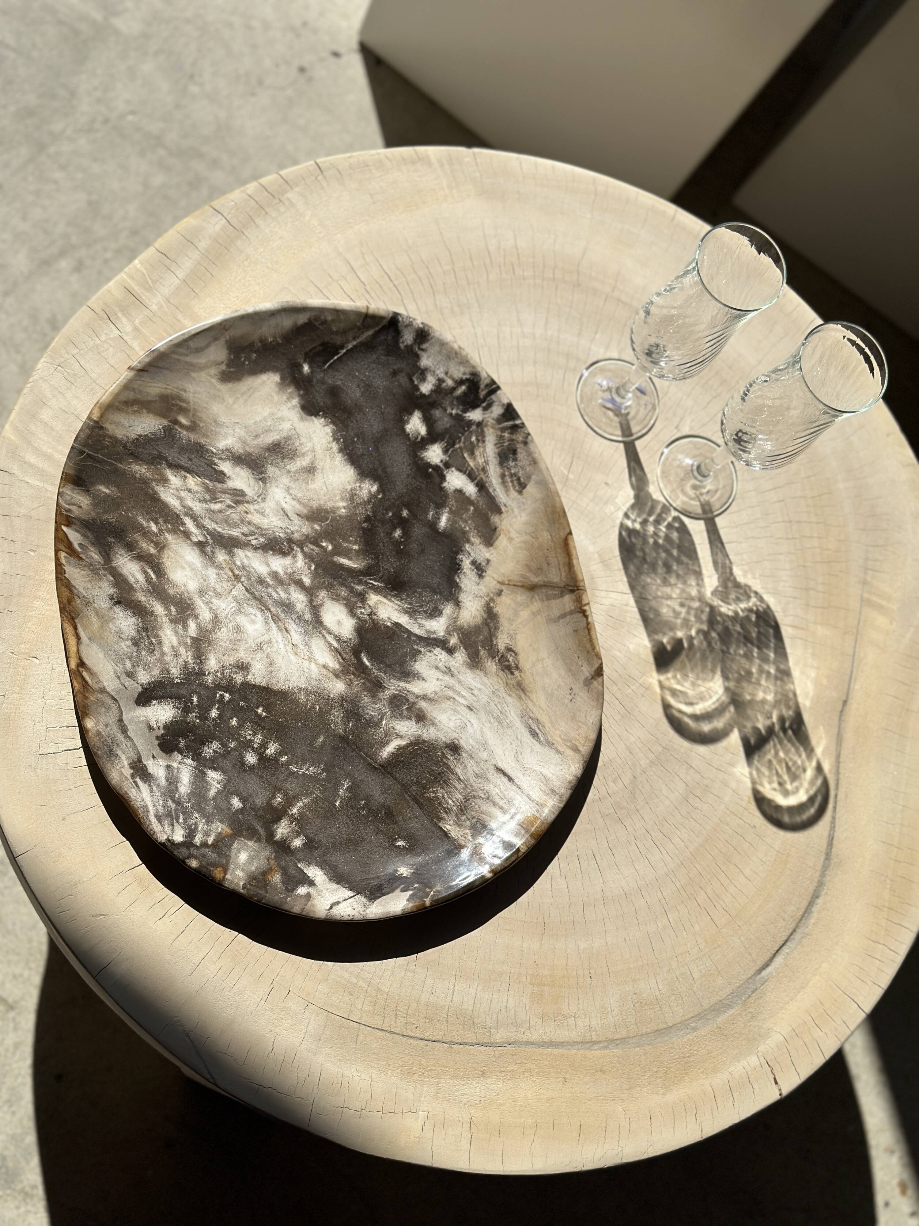 Very large pocket or dish in petrified wood