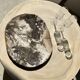 Very large pocket or dish in petrified wood