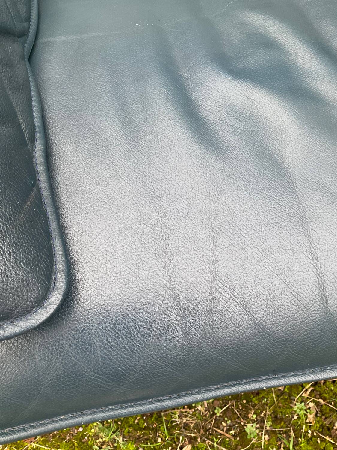 Fauteuil Bora Bora pour Leolux par Axel Enthoven
