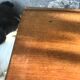 Old farm table