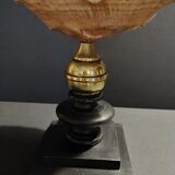 Cabinet of Curiosities shell blackcurrant cornuta on base