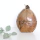 Ice bucket, nature decoration, exotic
