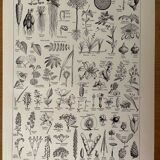 Set of 4 lithographs twentieth century