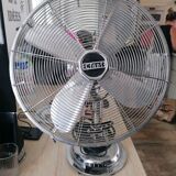 Fan Cinni year 50