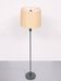 Classic Green color wooden floor lamp 1950s France