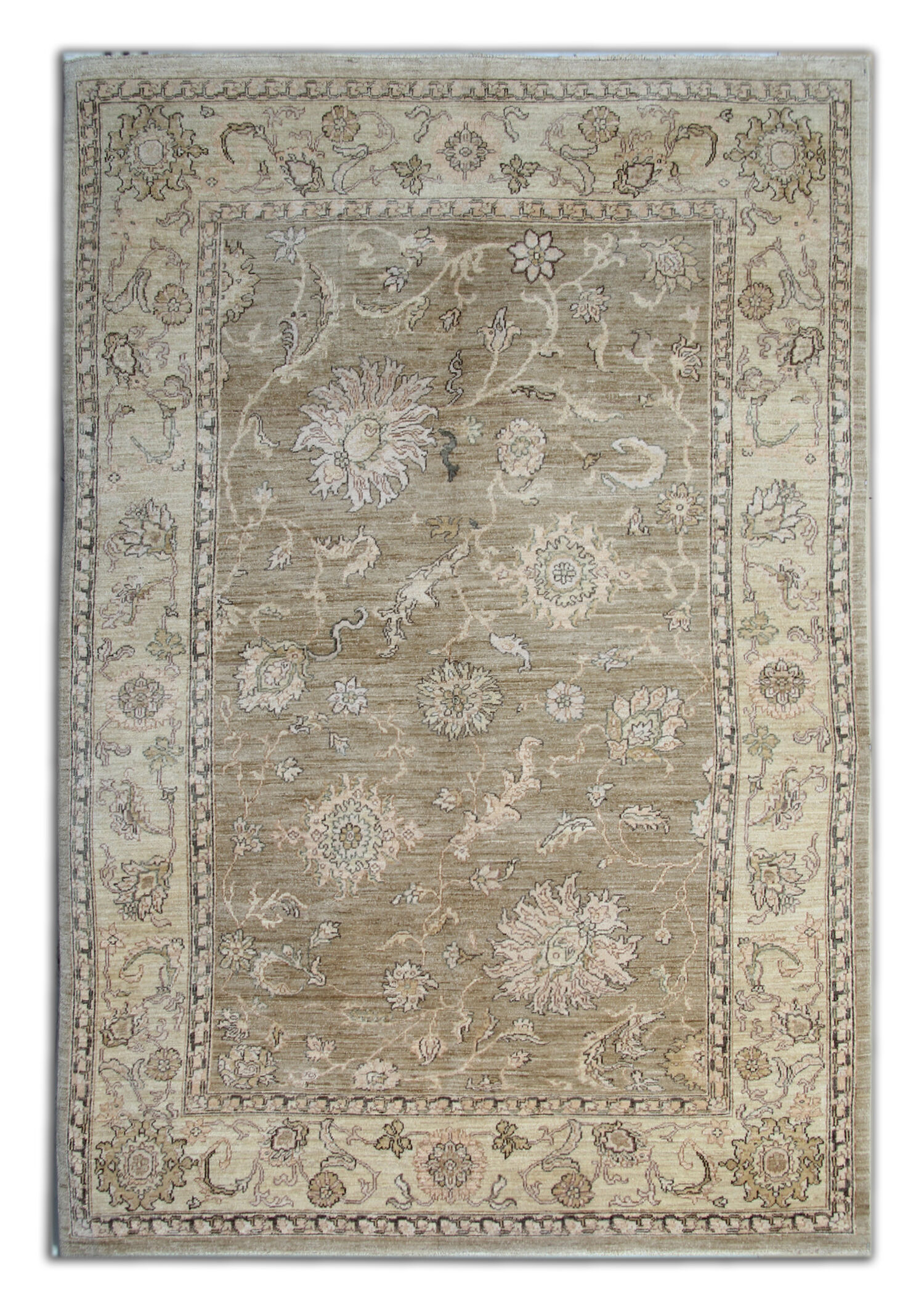 Beige Rug Handwoven Zieger Carpet 181x266cm