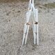 Folding chairs in wood