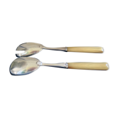 Cutlery to serve silver metal and horn