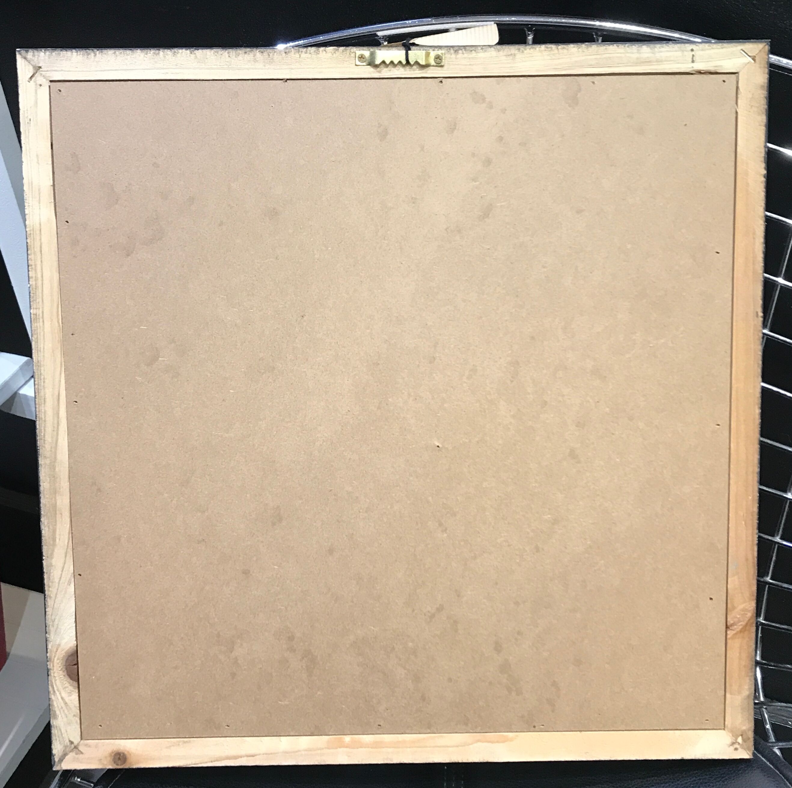 Bird frame on canvas