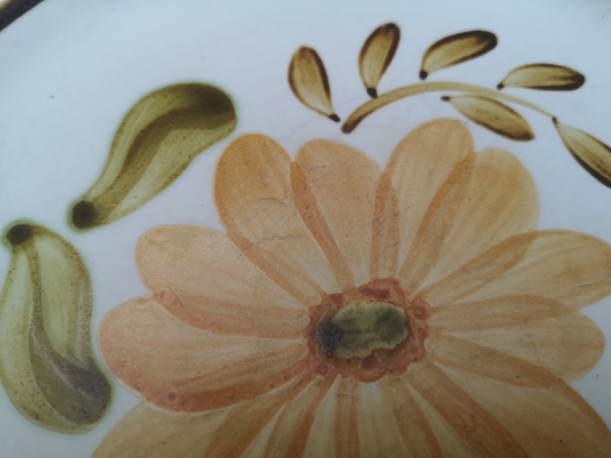 Lot of 4 mismatched plates herbarium vegetable decoration