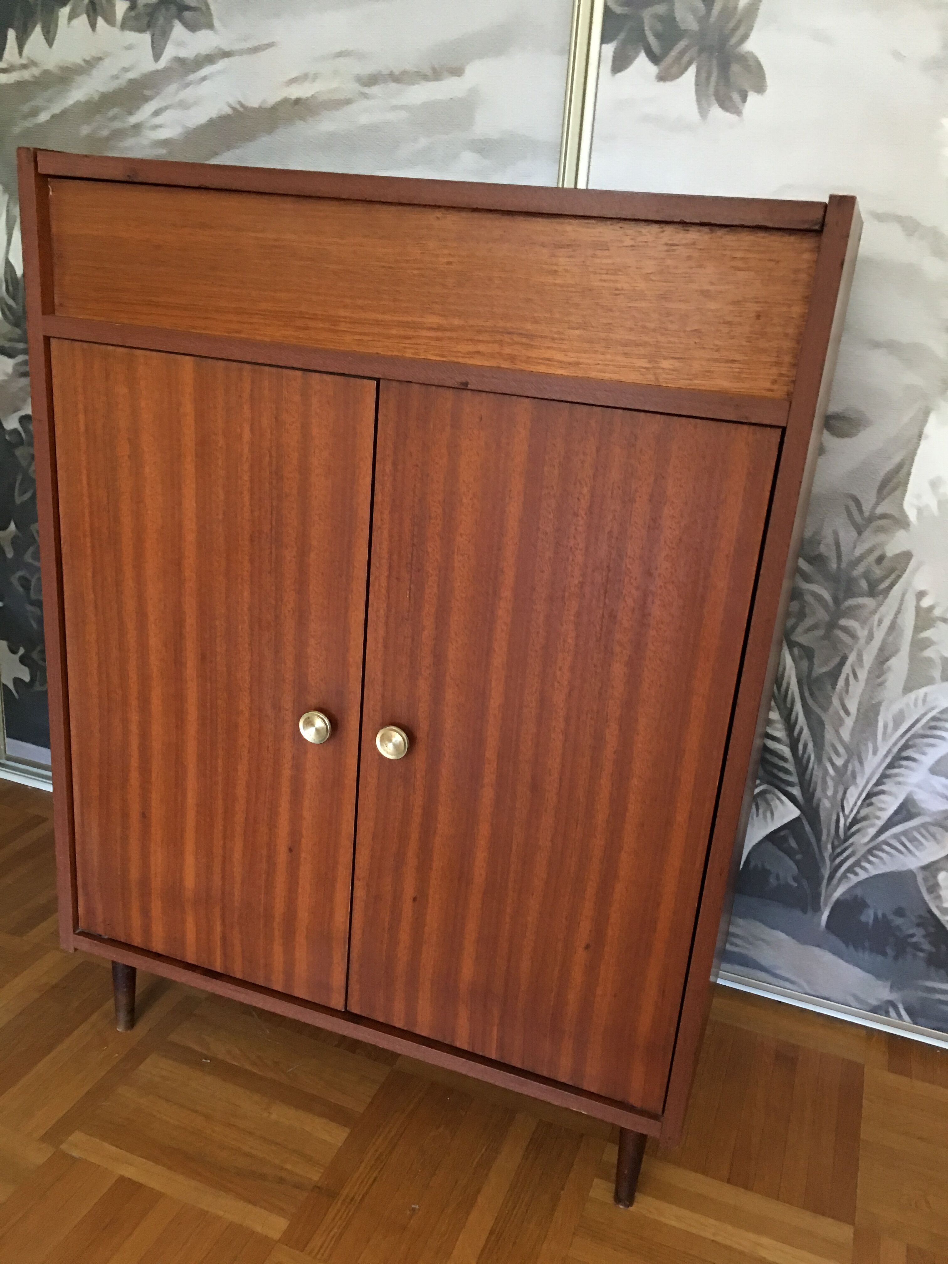 Vintage shoe cabinet