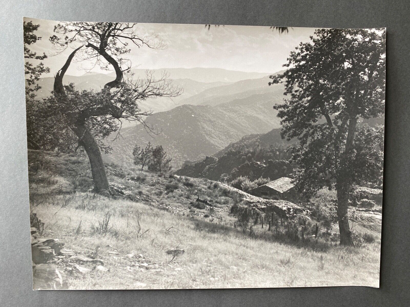 Photo silver sheepfold mountain Bernard Darot XXth