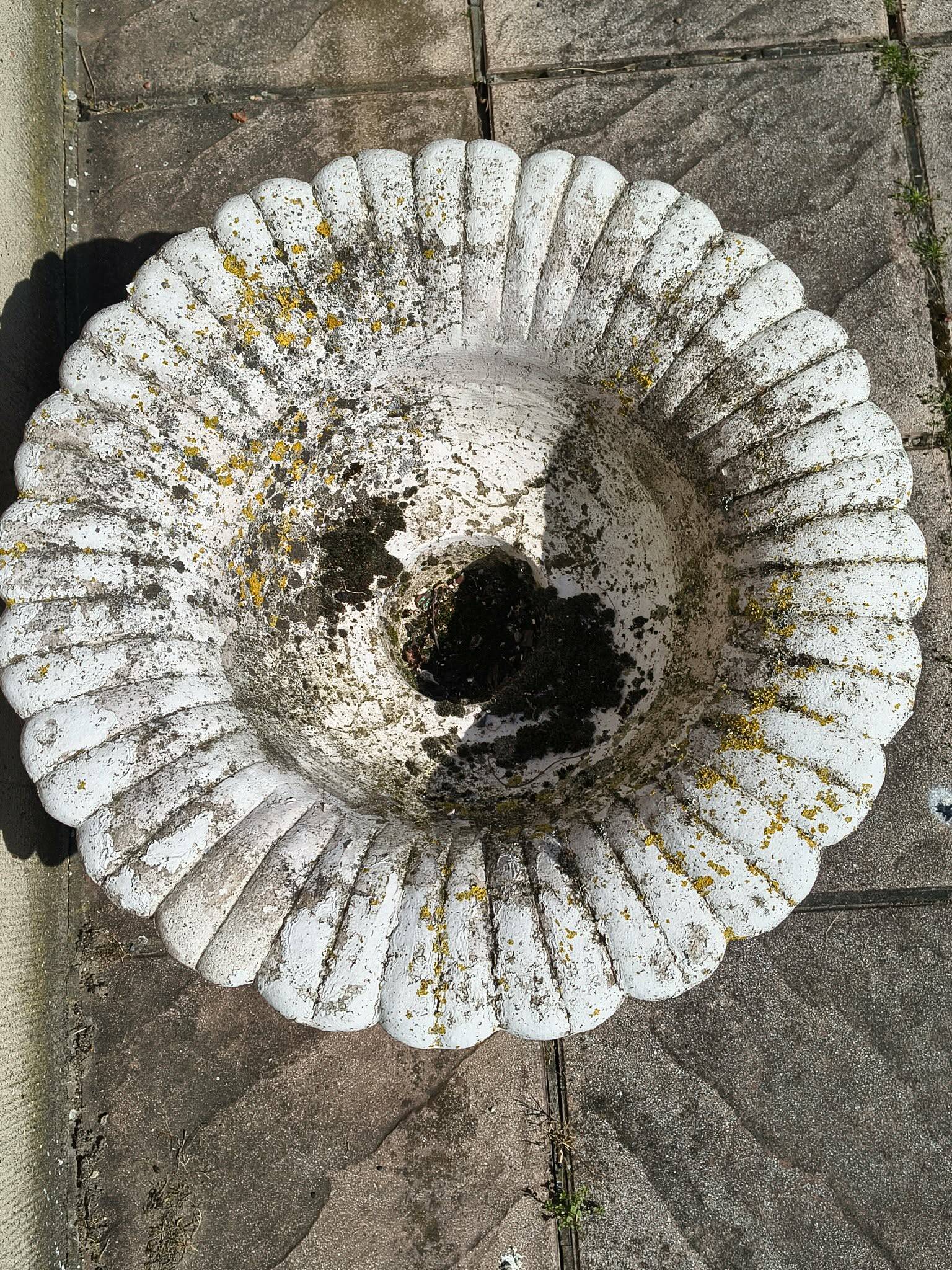 Ensemble de 2 pots à fleurs en beton