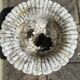 Ensemble de 2 pots à fleurs en beton