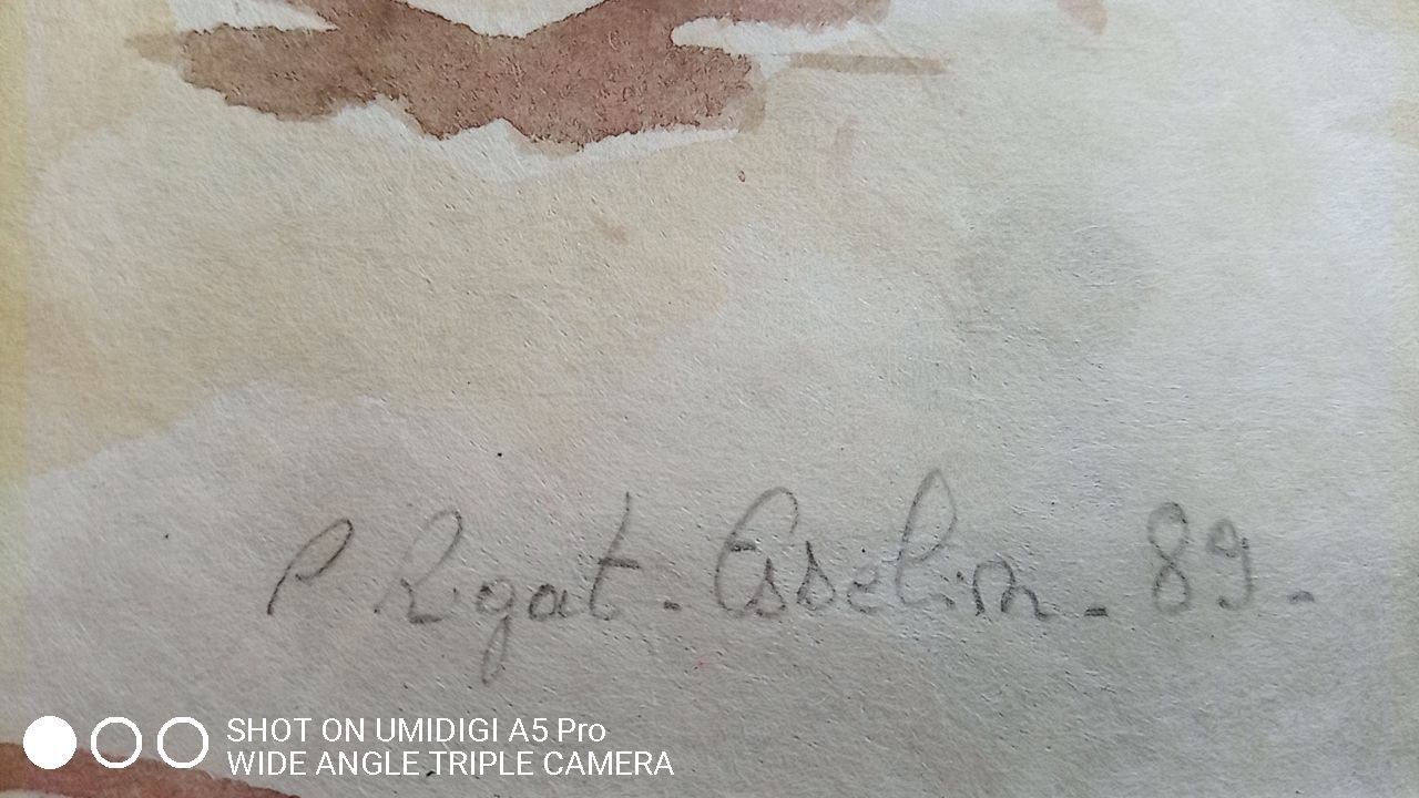 Pascale Rigat-Esselin (born in 1952) - watercolor - 32 x 48 cm - signed, dated 89