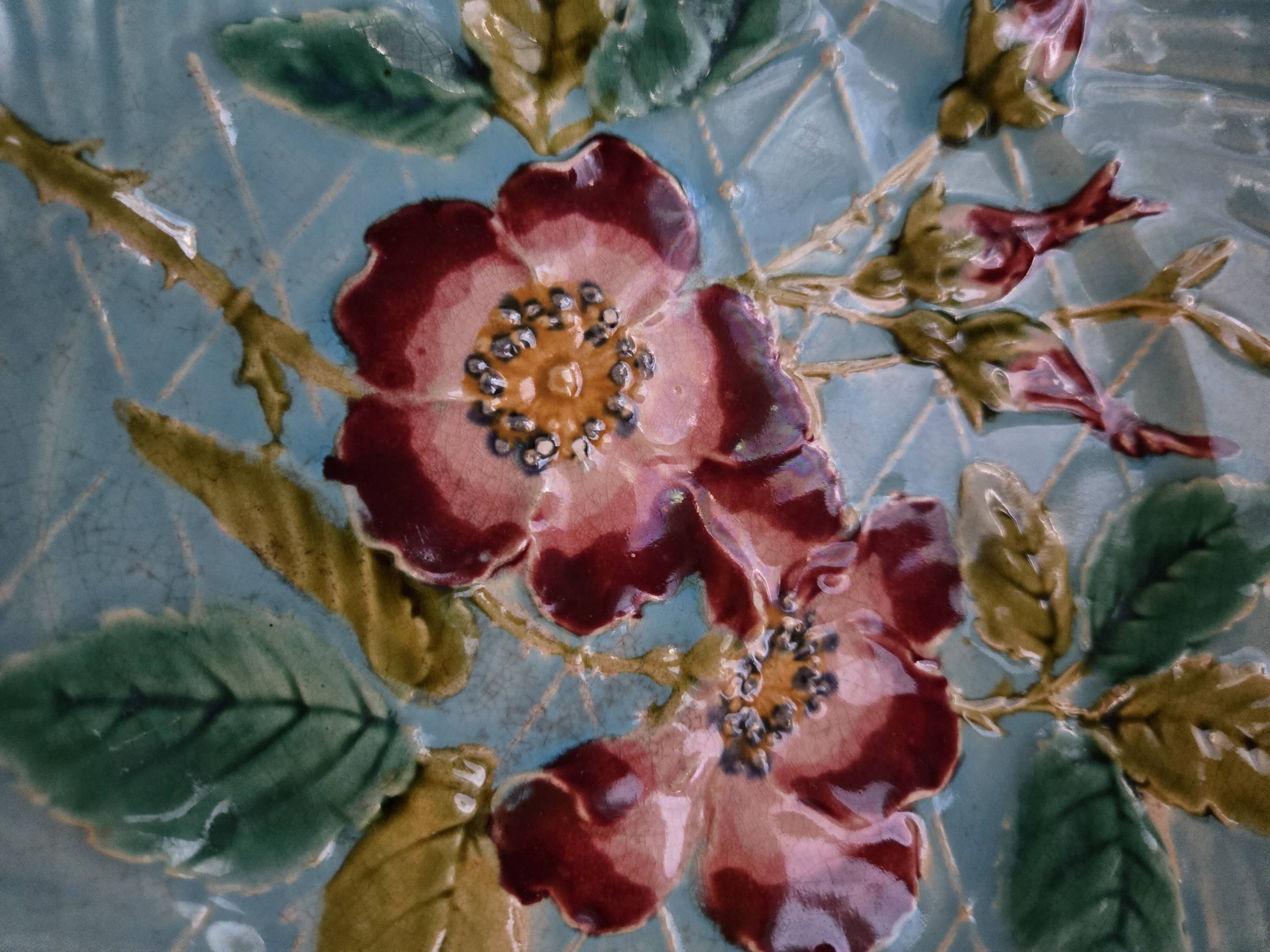 Sarreguemines plates majolica with pink wild roses