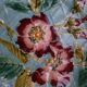 Sarreguemines plates majolica with pink wild roses