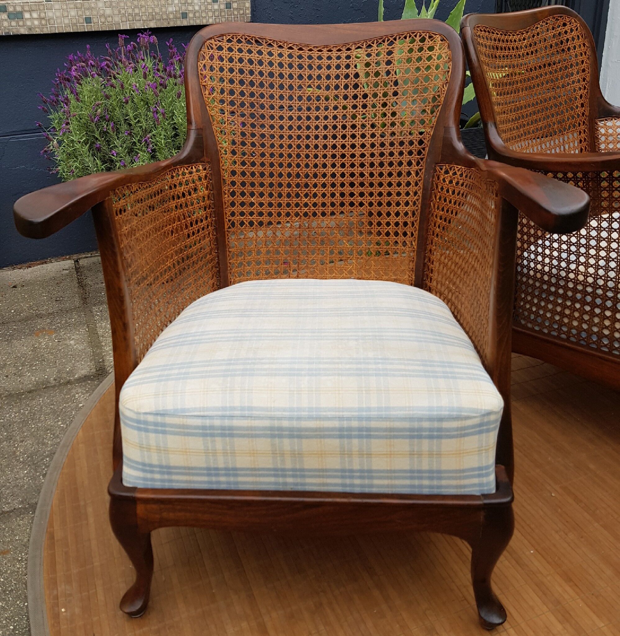 English canine armchair