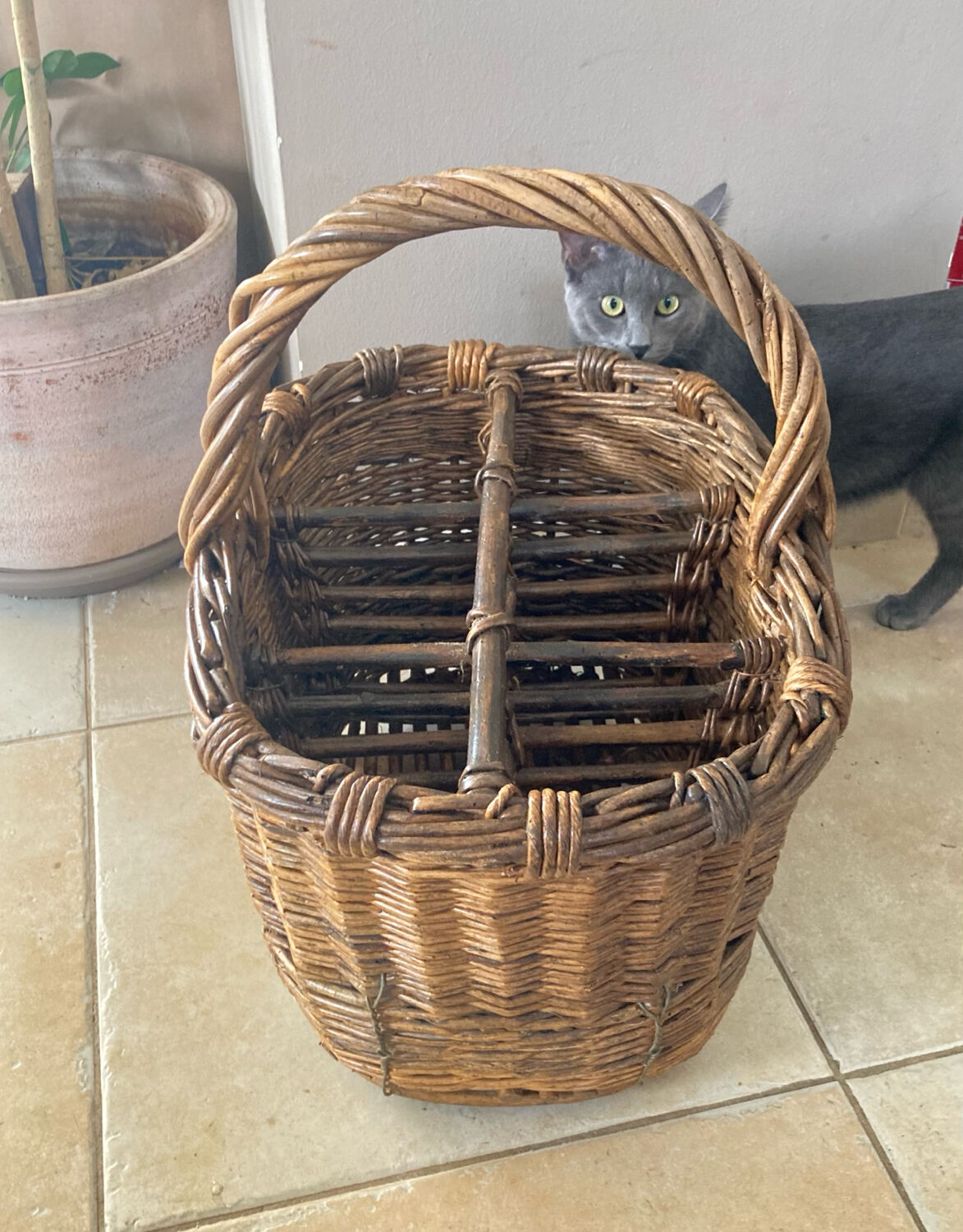 Wicker and hazel bottle basket from the early 20th century or possibly earlier.