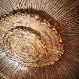 Dagnaes Ceramic Applique Denmark