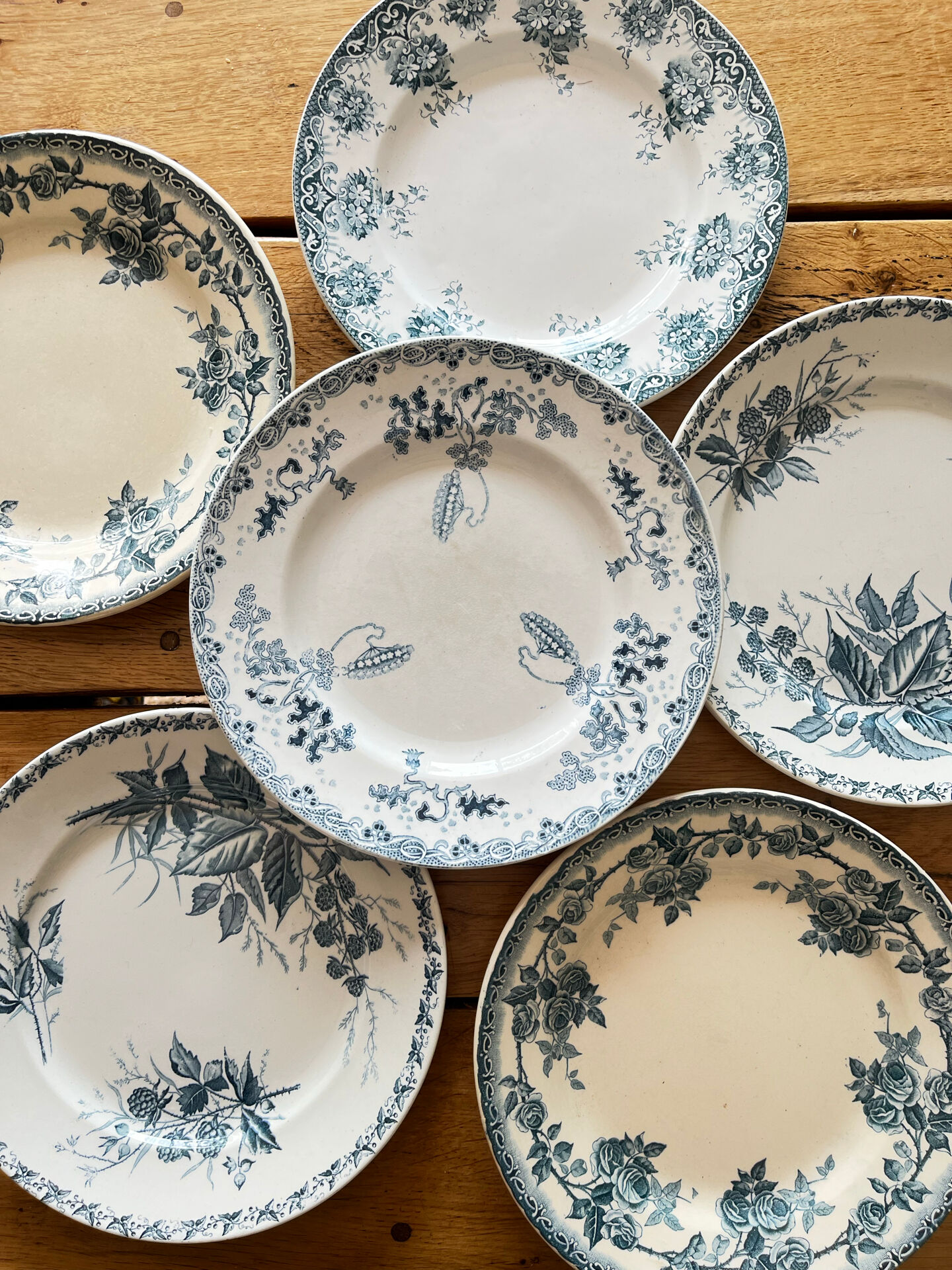 6 assiettes terre de fer