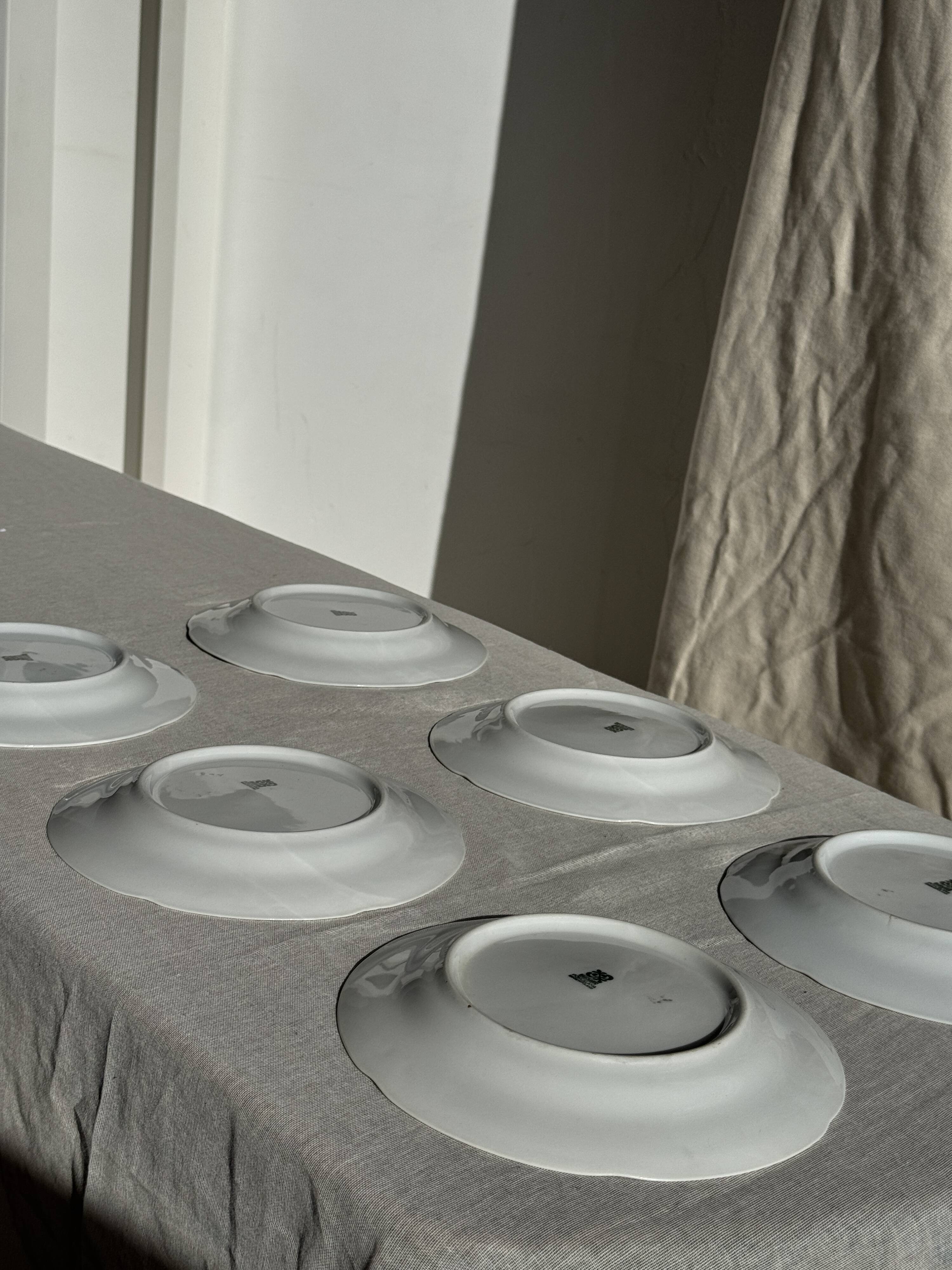 Set of 6 vintage dessert plates made in Poland with a plant motif.