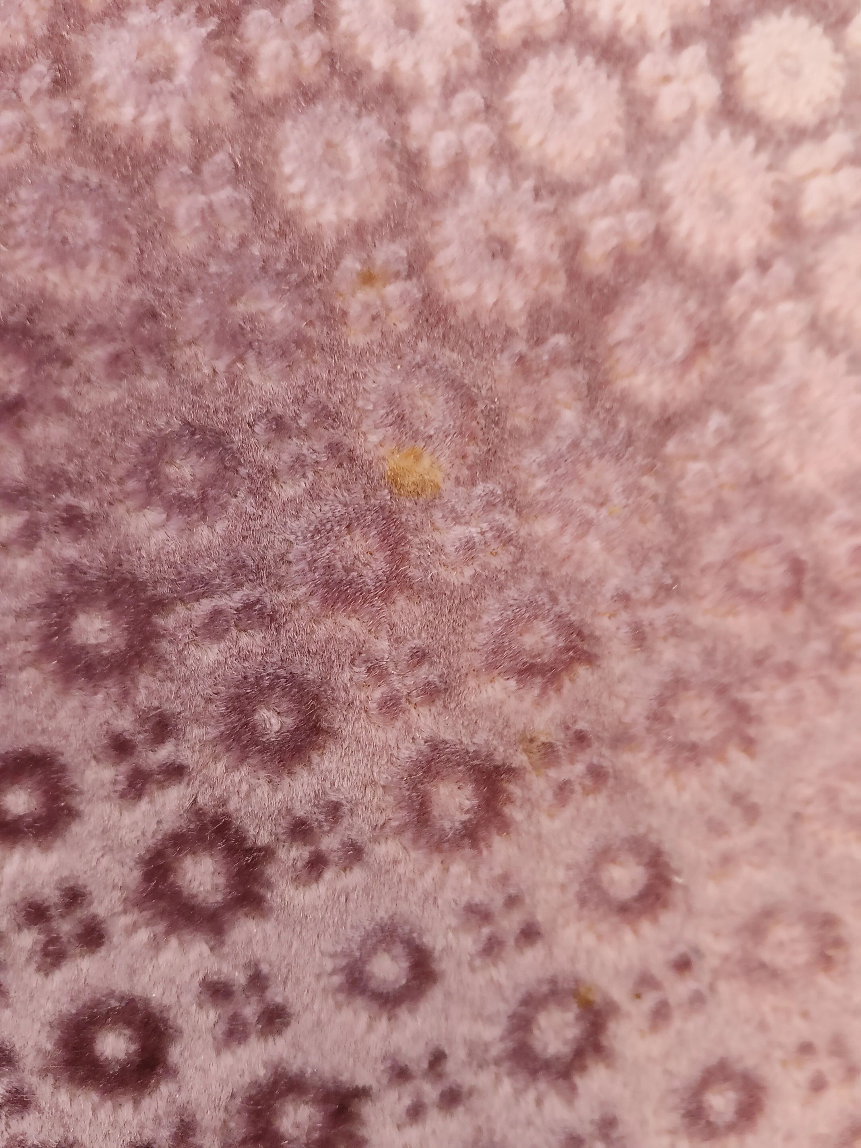 Canapé étonnant Lilla ancien