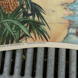 Affiche scolaire éditions rossignol N° 43 et 44 la rizière et l'oasis