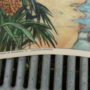 School poster editions nightingale N° 43 and 44 the rice field and the oasis