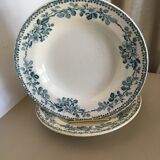 2 hollow plates earthenware st Amand model Guadeloupe