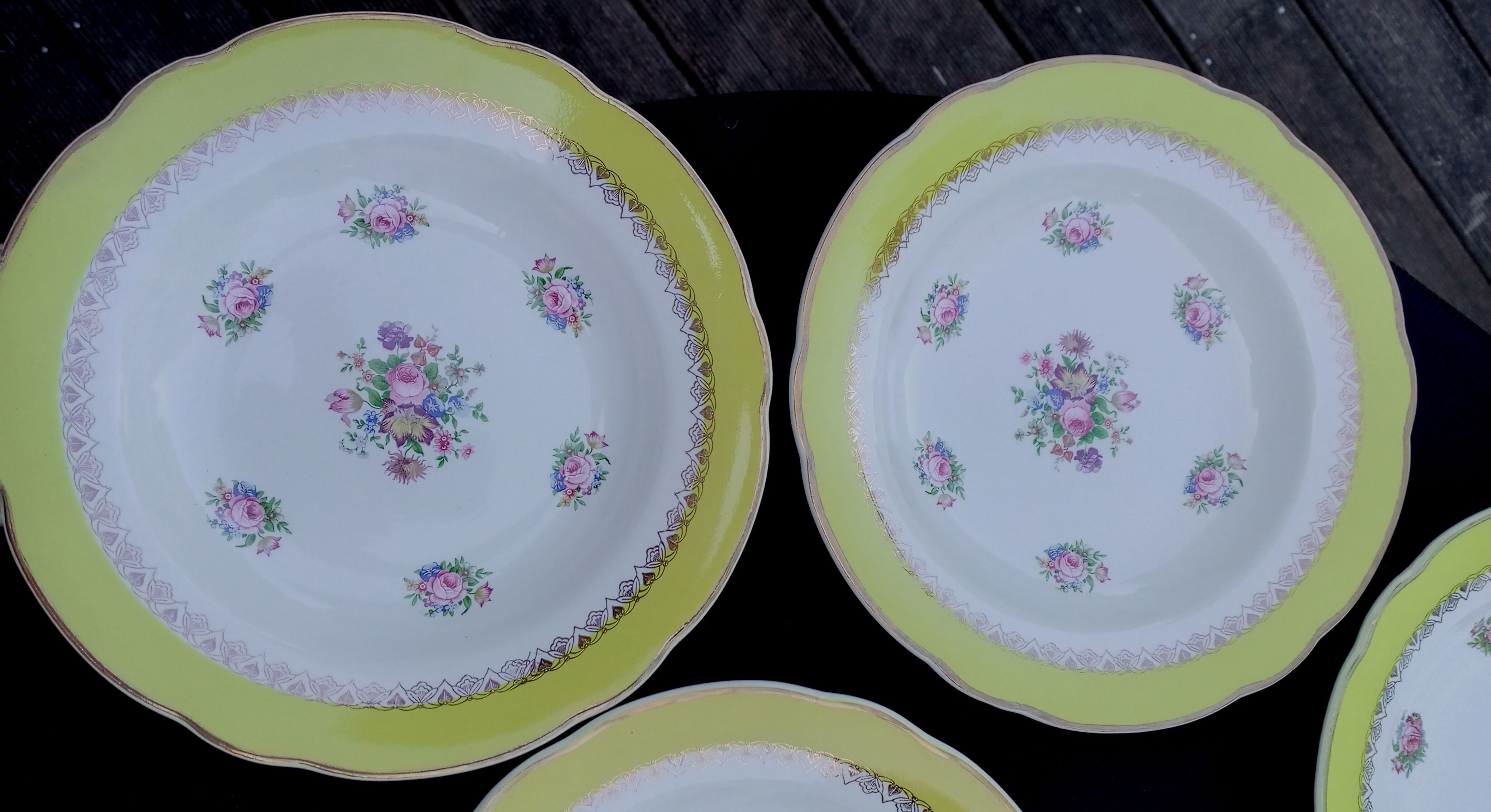 10 hollow plates model graziella sarreguemines & digoin