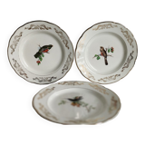 Set of 8 Sparrows of Paris plates