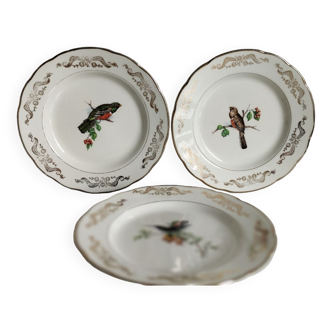 Lot de 8 assiettes Moineaux de Paris